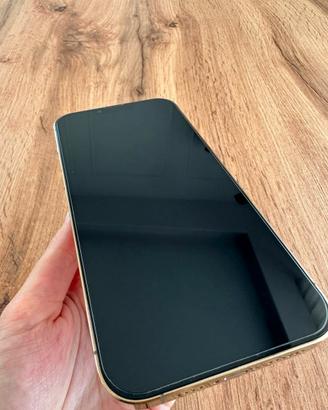 Iphone 13 Pro Max - 100% Batteria - Come Nuvo