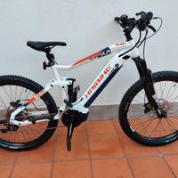 E-Bike bici