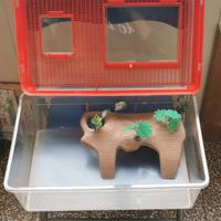 Tartarughiera in plastica