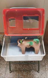 Tartarughiera in plastica