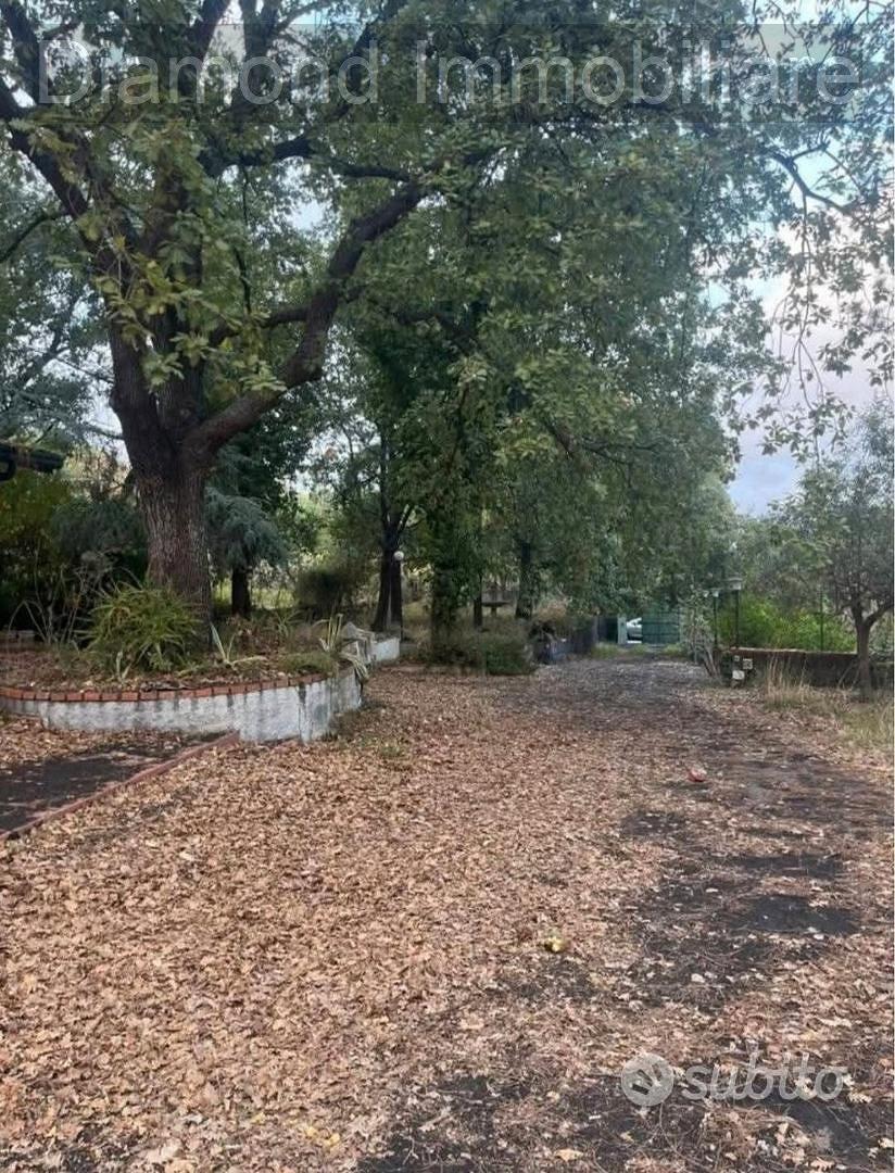 Casa semindipendente con terreno a Zafferana Etnea - Vista 2