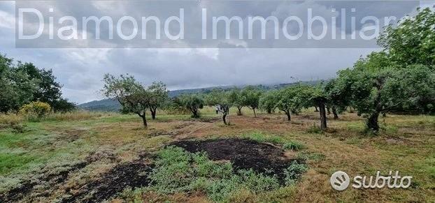 Antico casale con terreno a Piedimonte Etneo - Vista 4
