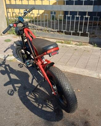 bici elettrica 