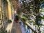 Immagine 20
