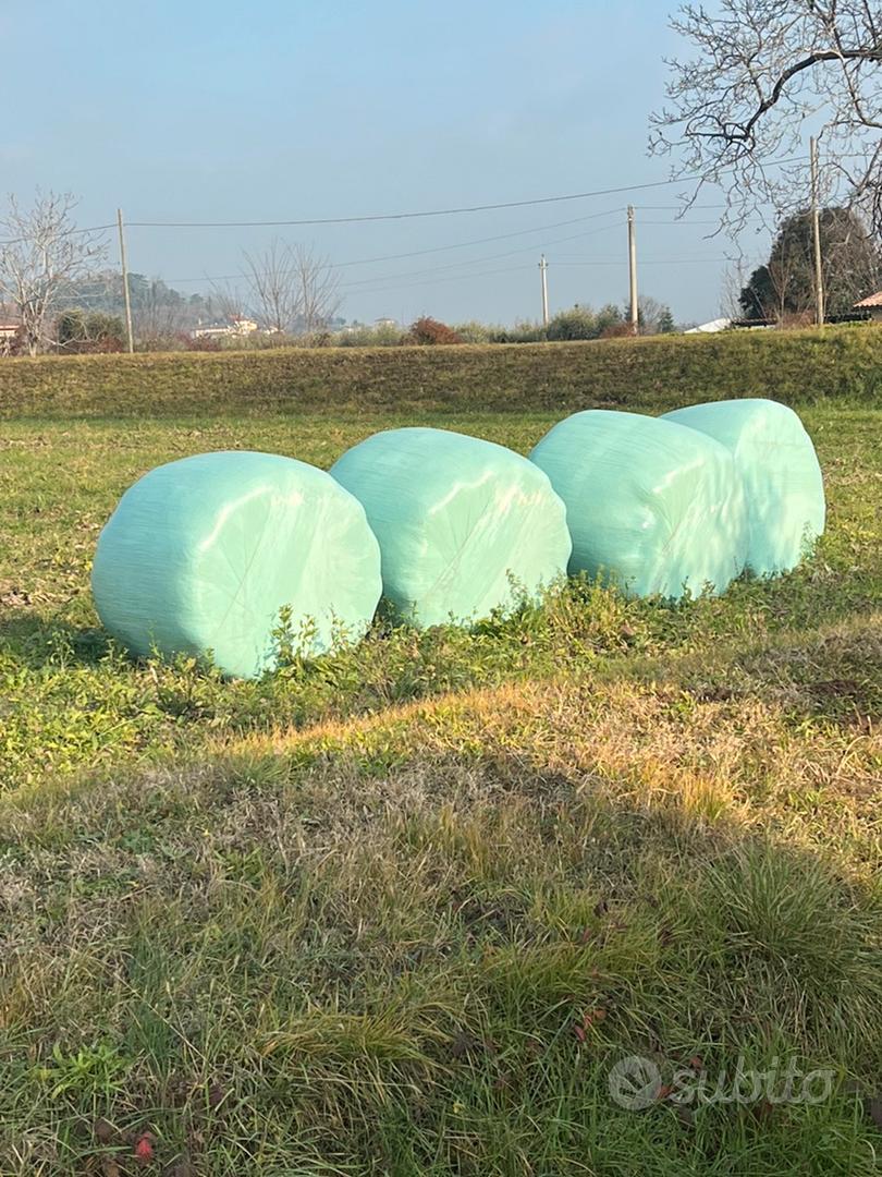 Balloni fieno fasciato insilato - Animali In vendita a Vicenza