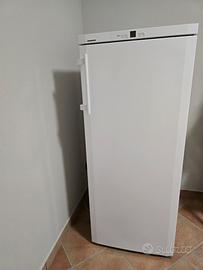 congelatore liebherr no frost verticale 6 c