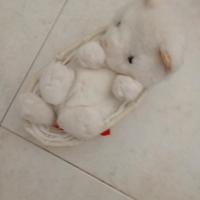orsetto in cesto di vimini