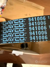 Cinghia distribuzione Dayco 941006