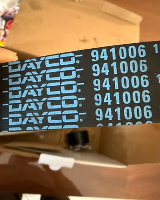 Cinghia distribuzione Dayco 941006