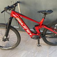 E bike
