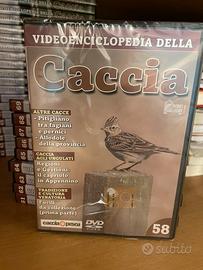 DVD Videoenciclopedia della Caccia - Completa