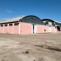 Capannone Strada Statale Fondo Valle del Biferno