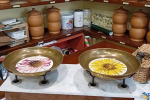 Erboristeria ben avviata a Livorno centro