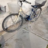 bicicletta