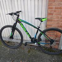 Mountain bike MTB Hogan, ruote 29"