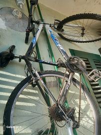 bici uomo