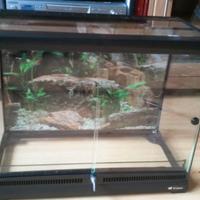 terrario feeplast explora 60x40x40 