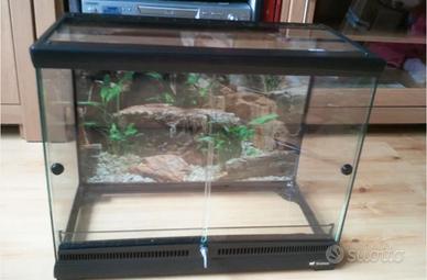 terrario feeplast explora 60x40x40 
