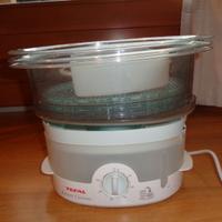 Vaporiera tefal