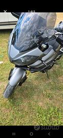 Triumph tiger 1050 2010