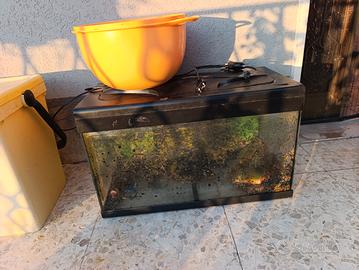 Acquario 60 lt