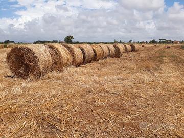 Balloni di fieno 400KG