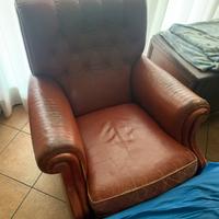 Poltroma frau
