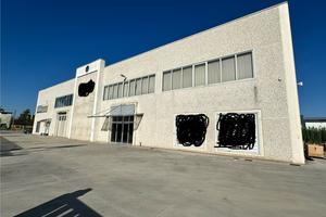 Vendita capannone con abitazione per rendita