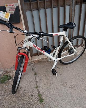 bici Schiano 