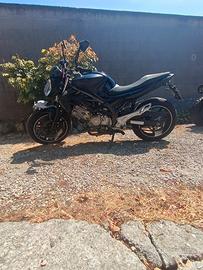 Suzuki Gladius 650 ribassata