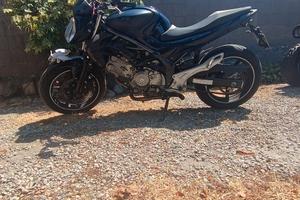 Suzuki Gladius 650 ribassata