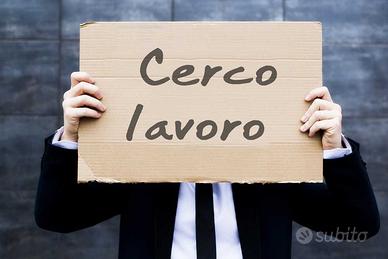Neodiplomato in manutenzione e assistenza tecnica