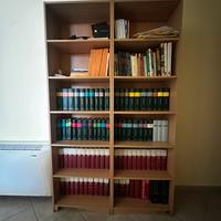Libreria capiente in legno