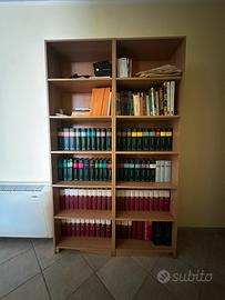 Libreria capiente in legno