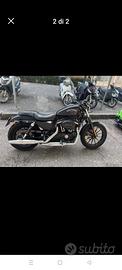 harley davidson 883 iron