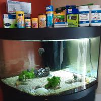 Acquario Juwel con mobile 