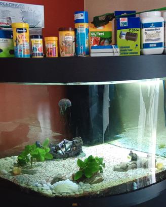 Acquario Juwel con mobile 