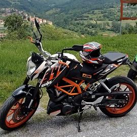 Duke 390 2014