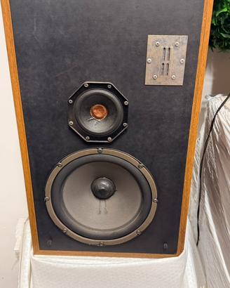 Diffusori Casse Vintage Infinity