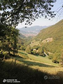 Cascina da ristrutturare