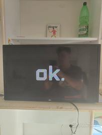 Smart TV 24 pollici