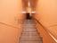 Immagine 9
