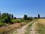Immagine 14