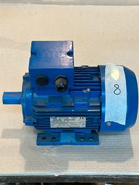 Motore Trifase 8