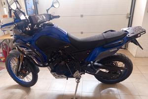 Yamaha Tenerè Extreme 11/2023