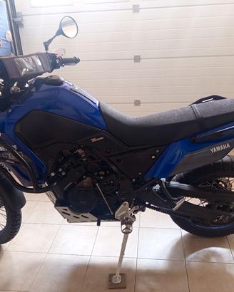 Yamaha Tenerè Extreme 11/2023