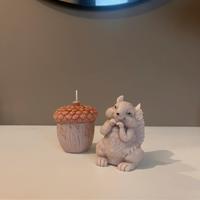 Candele ciop e ghianda  cera di soia  🐿️🍂🍁