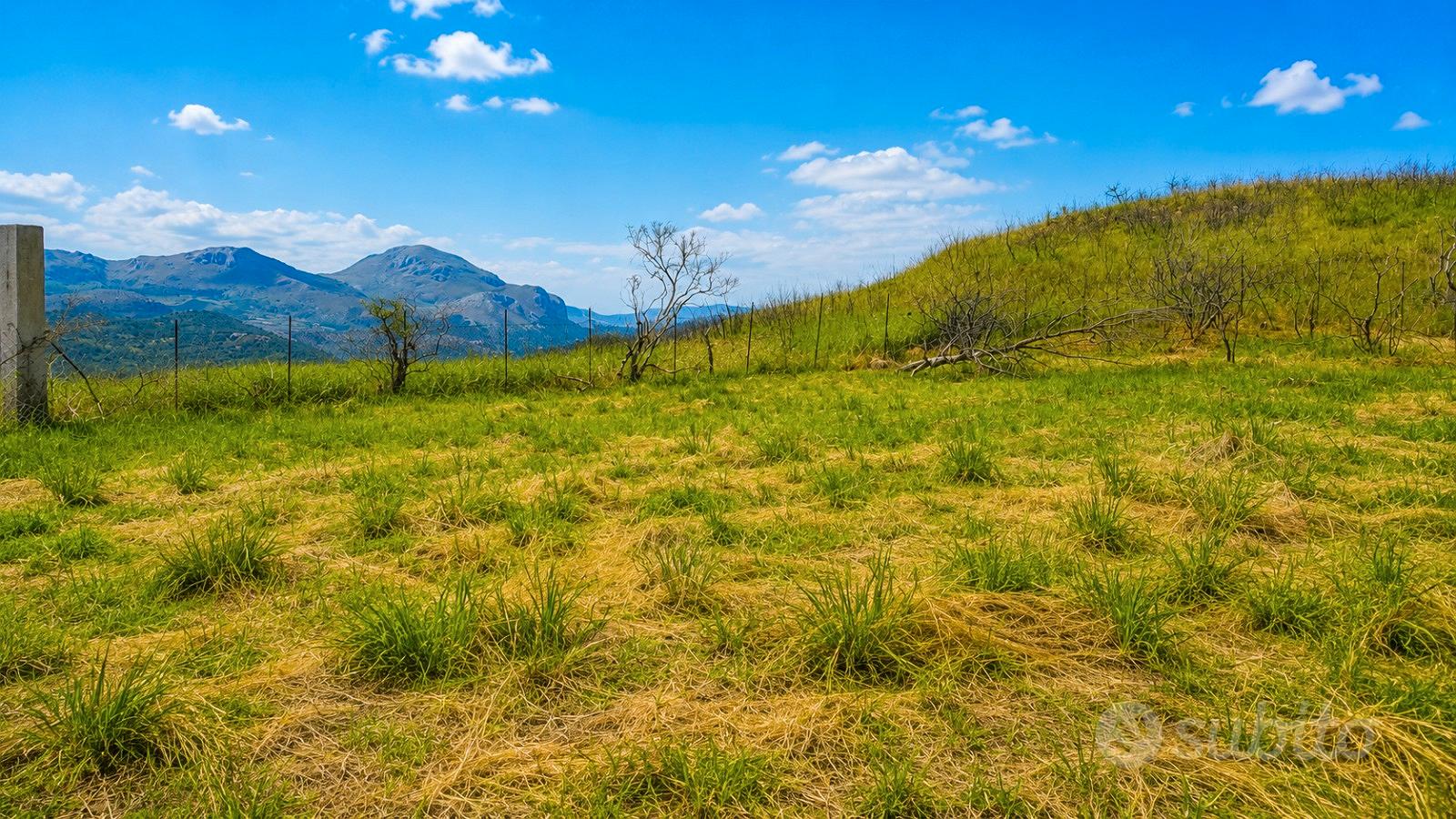 Cefalù Terreno Agricolo panoramico - Vista 4
