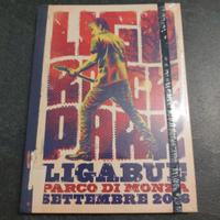 Ligabue: Liga Rock Park