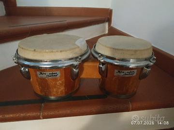 bonghi 